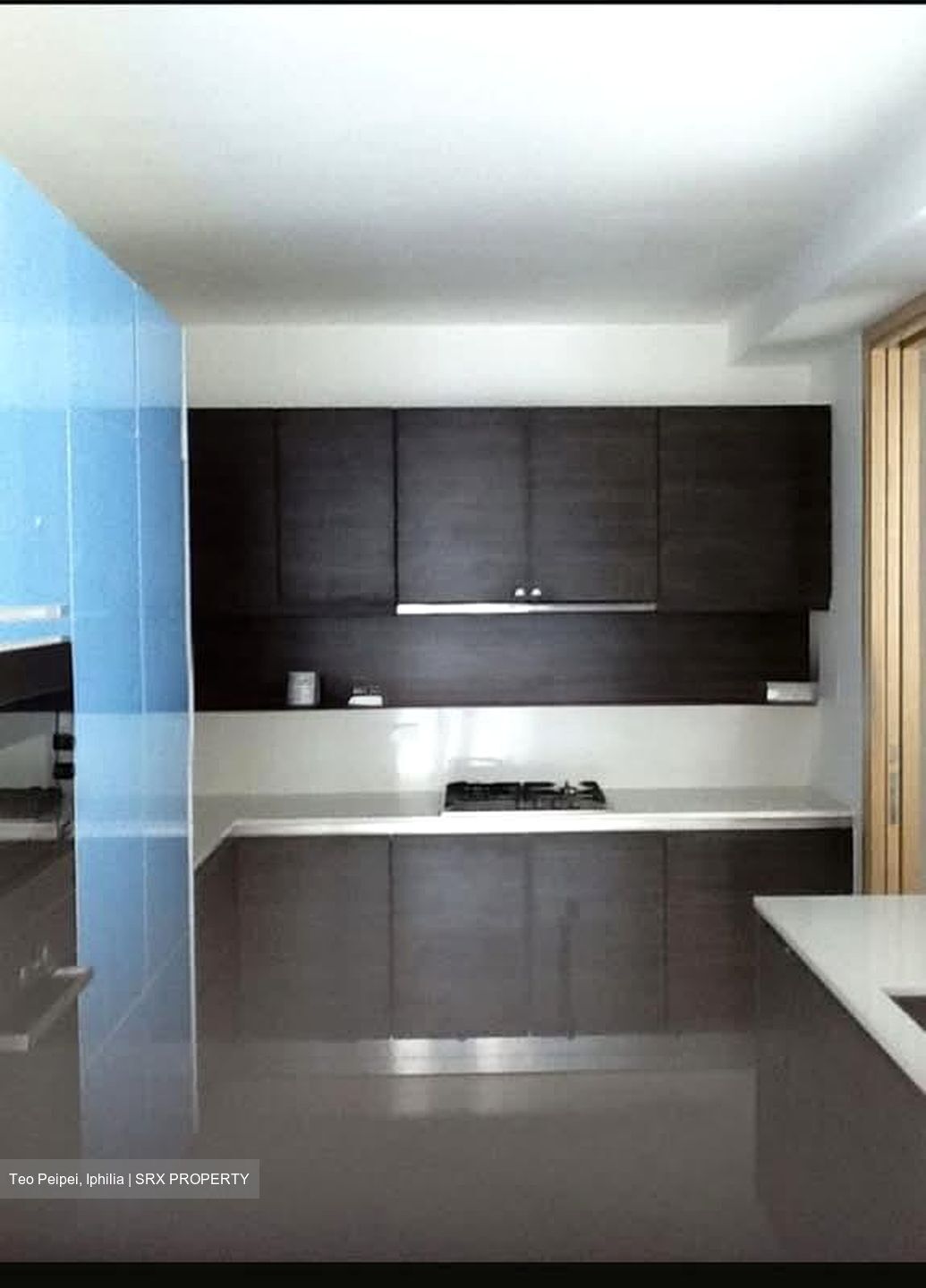 Martin Place Residences (D9), Condominium #559909261